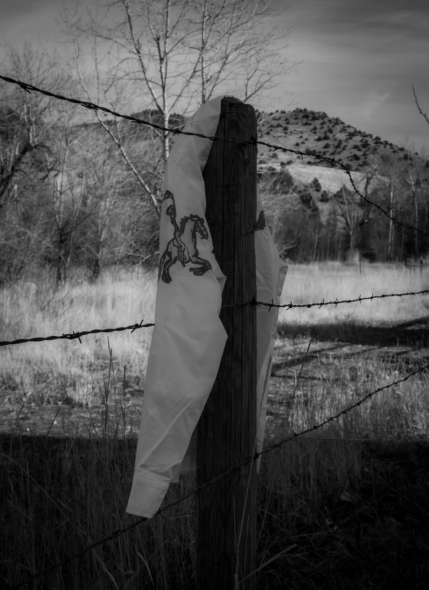 The Last Ride Collection