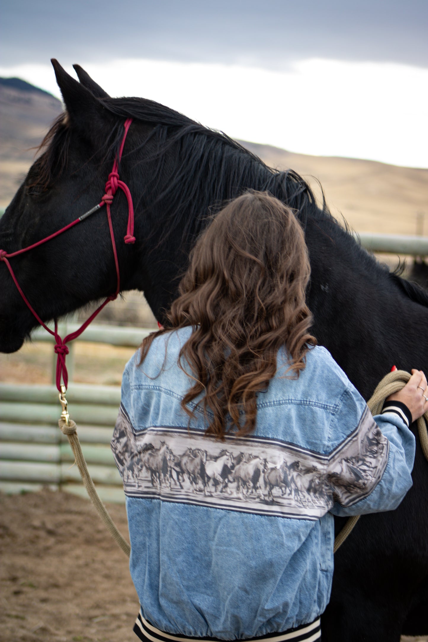 The Wild Run Bomber Jacket