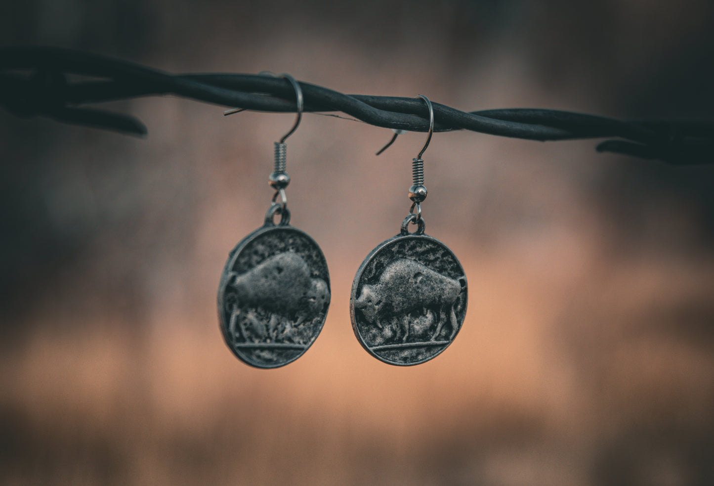 The Buffalo Nickel Earrings